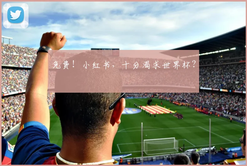 免费！小红书，十分渴求世界杯？